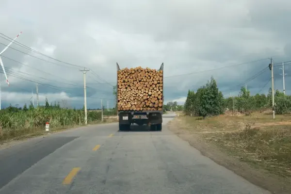 Transport drewna Kozienice - przewóz drewna opałowego